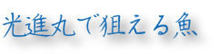 狙える魚