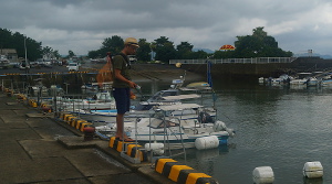 重富港の港内での落とし込み釣り