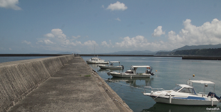 【写真】喜入新港の長堤防
