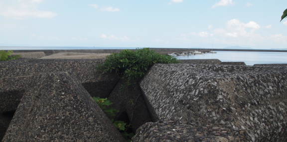 【写真】長堤防折れ部の三角テトラと港内　2016年07月18日