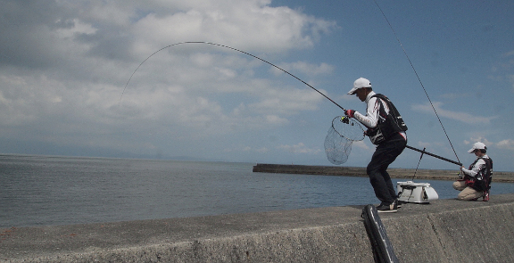 【写真】喜入新港の長堤防でチヌがヒット！　2016年07月18日