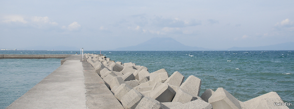 瀬々串港の釣り