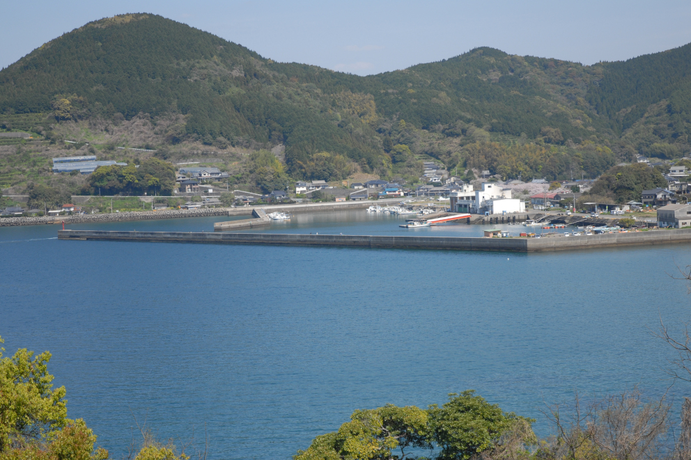 県道56号線の坂の上から見下ろす熊本県津奈木町の平国港の全景写真。港のメインの狙い場となる、海に向かって美しく伸びる長い外堤防の全体像が写し出されています。