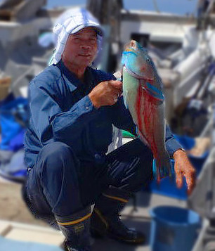 ブダイ の生態と釣り方 釣り情報サイト Wiredfish