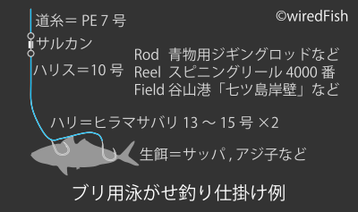 【仕掛け図】ブリ