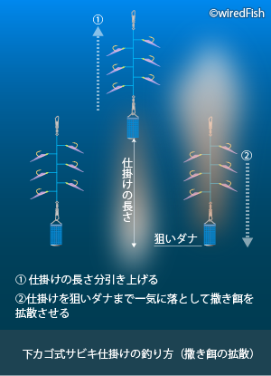 アジ の生態と釣り方 釣り情報サイト Wiredfish