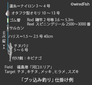 福島港 の釣り 宮崎県 串間市 釣り情報サイト Wiredfish