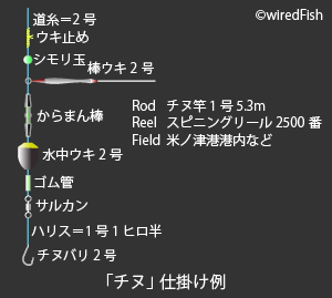 チヌ 釣りの対象魚 釣り情報サイト Wiredfish