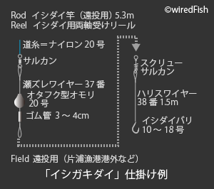 ミナミキントキ の生態と釣り方 釣り情報サイト Wiredfish