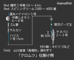 クロムツ の生態と釣り方 釣り情報サイト Wiredfish