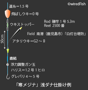 メジナ の生態と釣り方 釣り情報サイト Wiredfish
