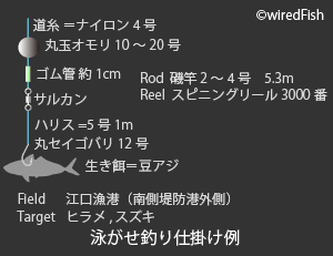 江口漁港 の釣り 鹿児島県 日置市 釣り情報サイト Wiredfish