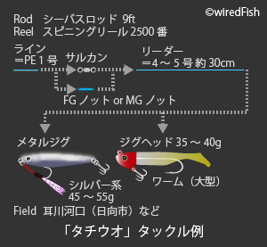 タチウオ 釣りの対象魚