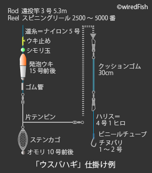 ウマヅラハギ の生態と釣り方 釣り情報サイト Wiredfish