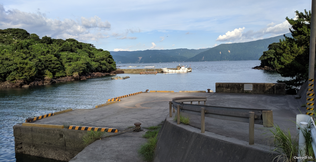 宇土港 桜島9番避難港 の釣り 釣り場情報 鹿児島県 鹿児島市 桜島 釣り情報サイト Wiredfish