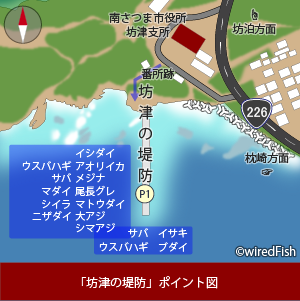 坊津の堤防 の釣り 鹿児島県 南さつま市 釣り情報サイト Wiredfish