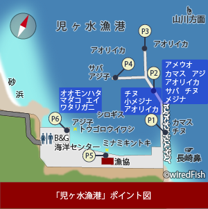 児ヶ水漁港 の釣り 鹿児島県 指宿市 指宿市の隠れた 釣りスポットは魚の回遊ルート 釣り情報サイト Wiredfish