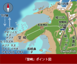 堂崎 の釣り 鹿児島県 出水郡 長島 釣り情報サイト Wiredfish