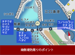 江口漁港 の釣り 鹿児島県 日置市 釣り情報サイト Wiredfish