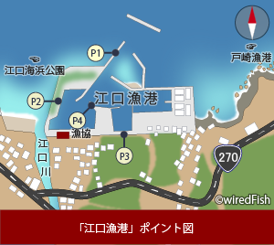 江口漁港 の釣り 鹿児島県 日置市 釣り情報サイト Wiredfish