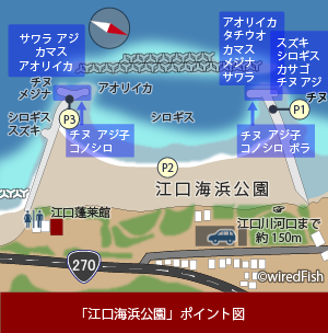 江口海浜公園 の釣り 鹿児島県 日置市 釣り情報サイト Wiredfish