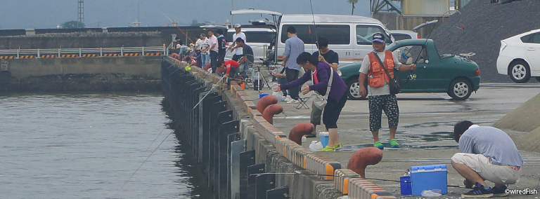 【写真】加治木港奥部の岸壁で釣りを楽しむ人々