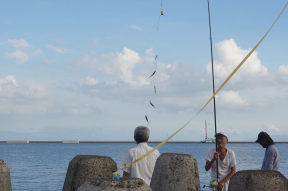【釣果写真】2016年09月29日　谷山港・日本ガス前でのアジの釣果状況