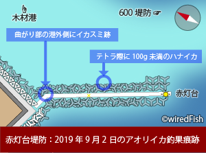赤灯台堤防のアオリイカ釣果痕跡　2019年09月02日