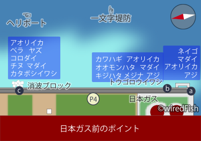 【ポイント図】日本ガス前