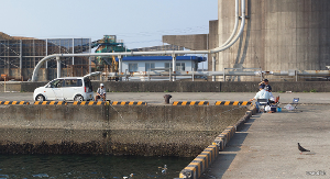 西日本興産前の岸壁