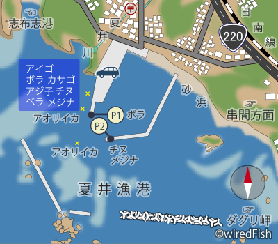 夏井漁港の釣りポイント