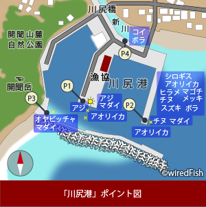 川尻港の釣り 鹿児島県 指宿市 釣り情報サイト Wiredfish