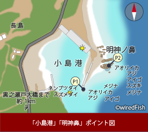 小島港 明神ノ鼻 の釣り 鹿児島県 出水郡 長島 釣り情報サイト Wiredfish