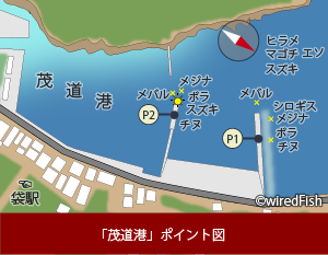 茂道港の釣り 熊本県 水俣市 釣り情報サイト Wiredfish