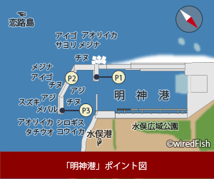 明神港の釣り 熊本県 水俣市 釣り情報サイト Wiredfish