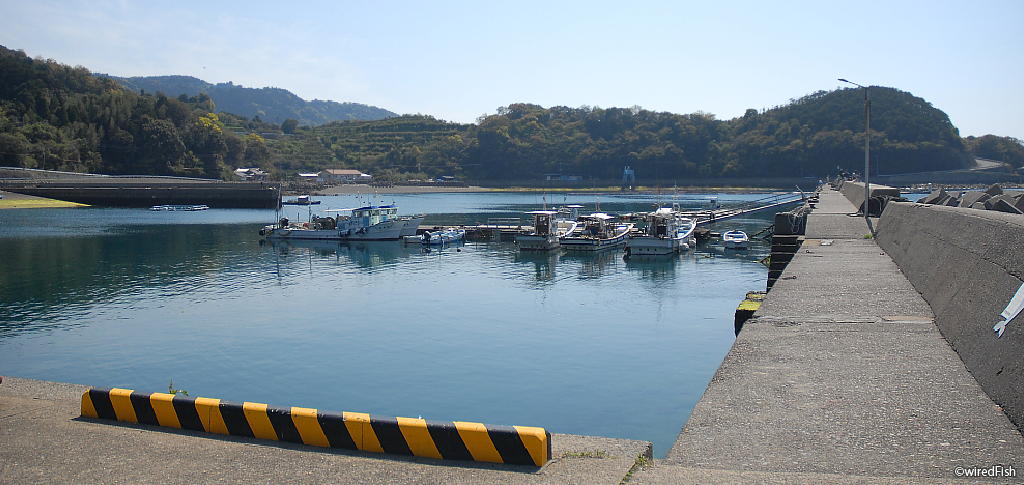 合串漁港 の釣り 熊本県 津奈木町 釣り情報サイト Wiredfish