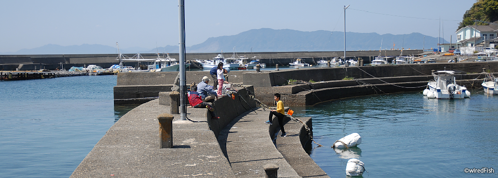 鶴木山港の釣り 熊本県 芦北町 釣り情報サイト Wiredfish