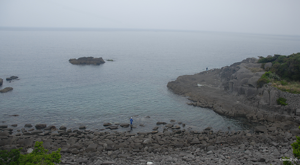 鈴木段の釣り 鹿児島県 阿久根市 釣り情報サイト Wiredfish