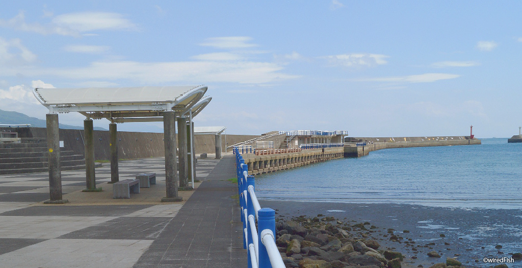 鹿児島本港 の釣り 鹿児島県 鹿児島市 釣り情報サイト Wiredfish