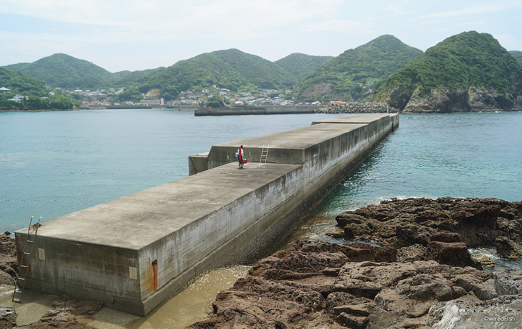 坊津の堤防 の釣り 鹿児島県 南さつま市 釣り情報サイト Wiredfish