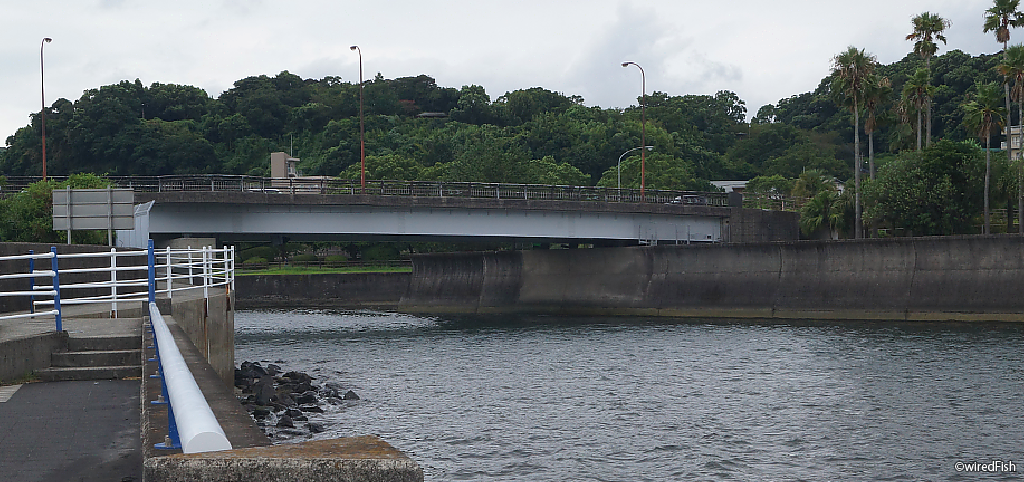 稲荷川河口 の釣り 鹿児島県 鹿児島市 釣り情報サイト Wiredfish