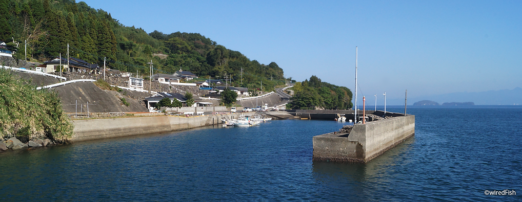 鹿児島県・出水郡（長島）の「観音漁港」