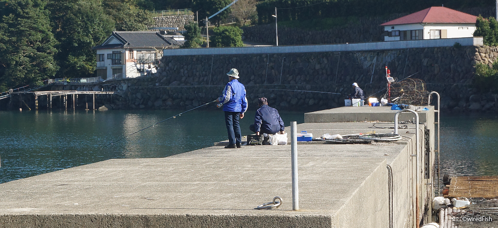 鹿児島県・出水郡（長島）の「脇崎港」　「中央の船溜まり」の外堤防
