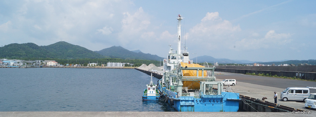 串木野新港の釣り 鹿児島県 いちき串木野市 釣り情報サイト Wiredfish