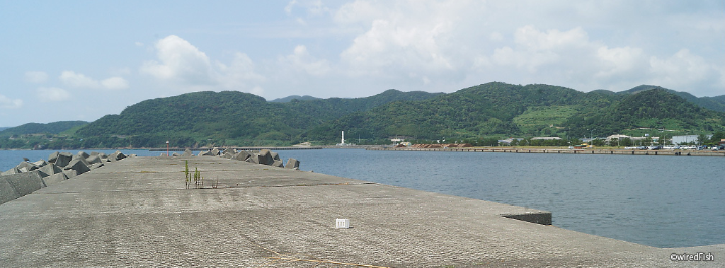 串木野新港の釣り 鹿児島県 いちき串木野市 釣り情報サイト Wiredfish