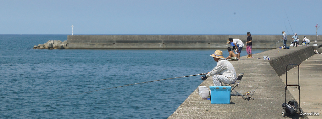 江口漁港 の釣り 鹿児島県 日置市 釣り情報サイト Wiredfish