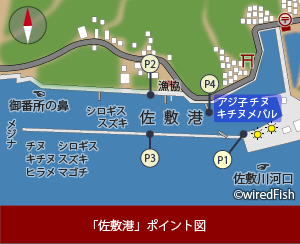 佐敷港の釣り 熊本県 芦北町 釣り情報サイト Wiredfish