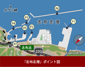 志布志港 の釣り 鹿児島県 志布志市 釣り情報サイト Wiredfish