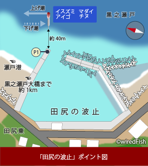 田尻の波止の釣り 鹿児島県 鹿児島県 出水郡 長島 釣り情報サイト Wiredfish