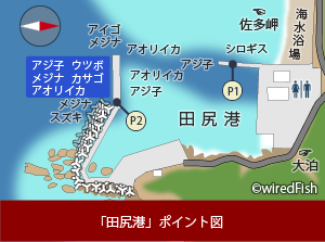 田尻港の釣り 鹿児島県 南大隅町 釣り情報サイト Wiredfish